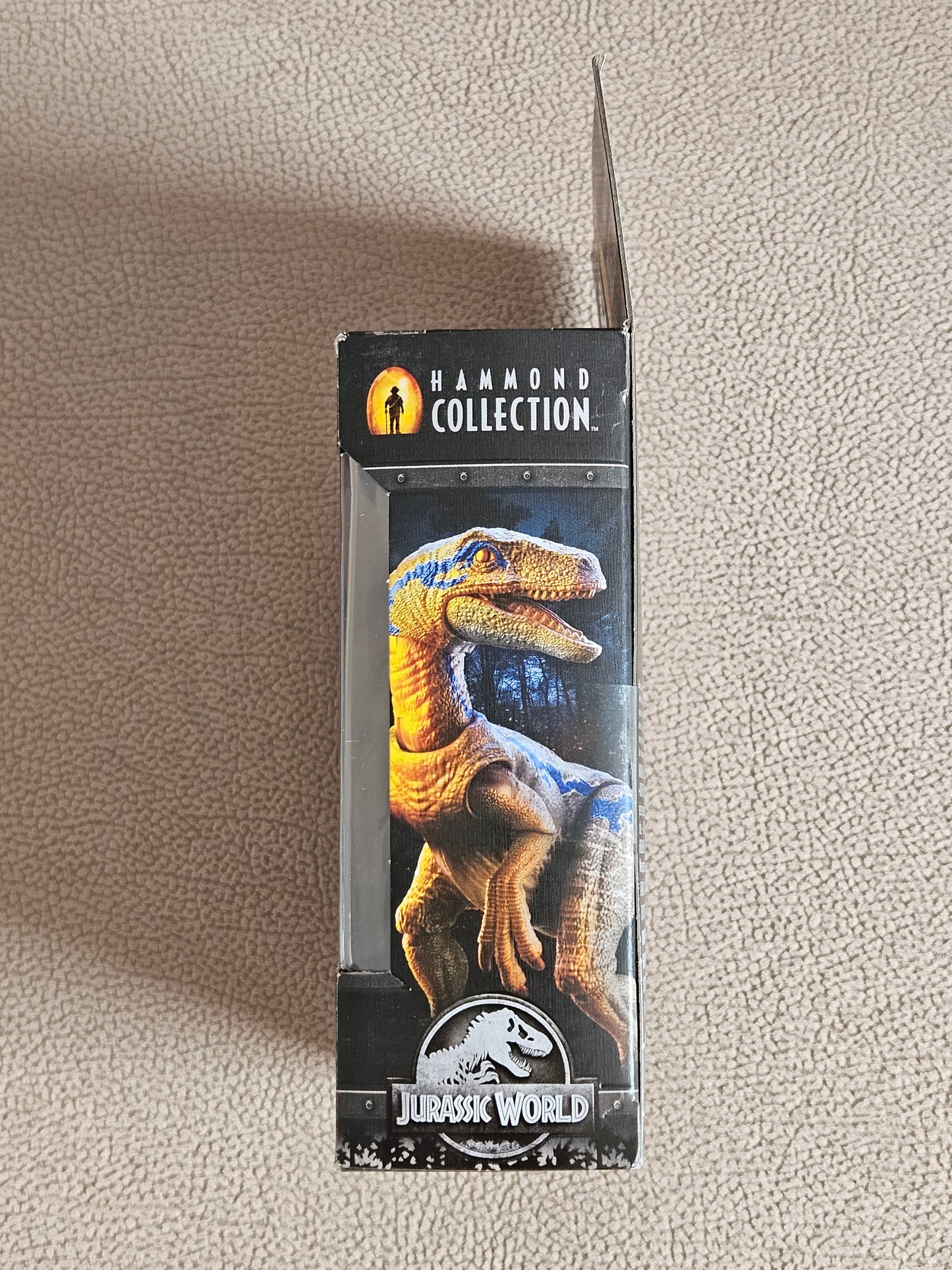 Mattel Jurassic World Hammond Collection Velociraptor Blue Dinosaur
