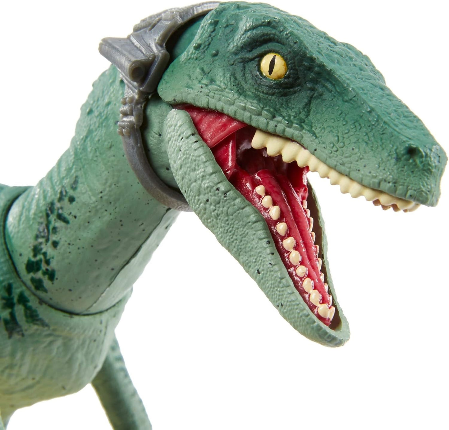 Jurassic World Amber Collection Velociraptor Delta 6 inch Dinosaur